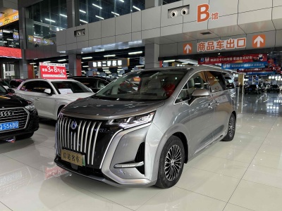 2023年7月 騰勢(shì) 騰勢(shì)D9 EV 600 四驅(qū)旗艦型圖片