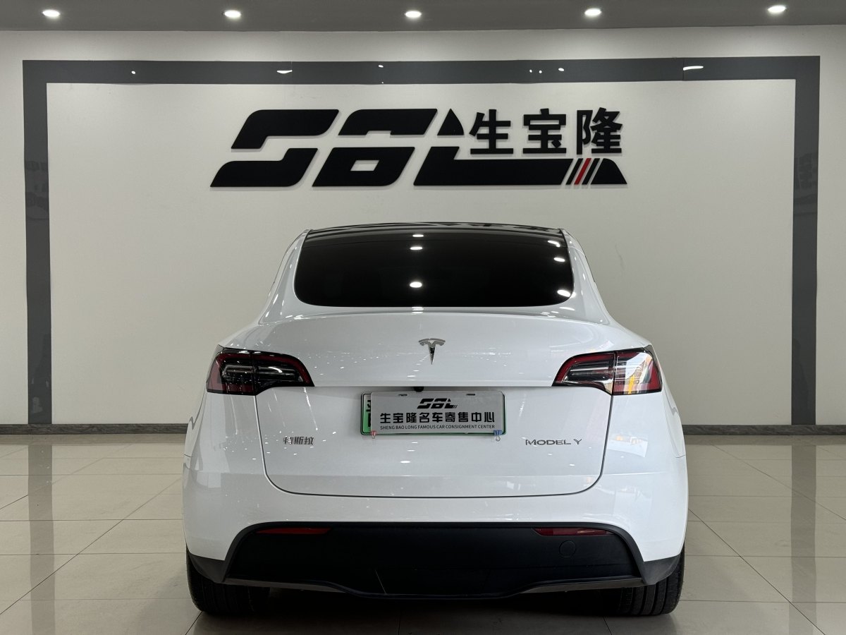 特斯拉 Model Y  2020款 改款 長(zhǎng)續(xù)航后輪驅(qū)動(dòng)版圖片