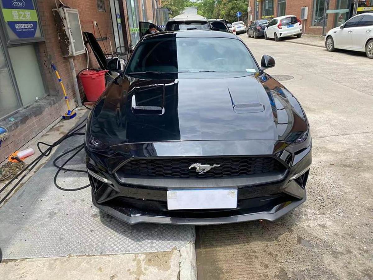 福特 Mustang  2019款 2.3L EcoBoost圖片