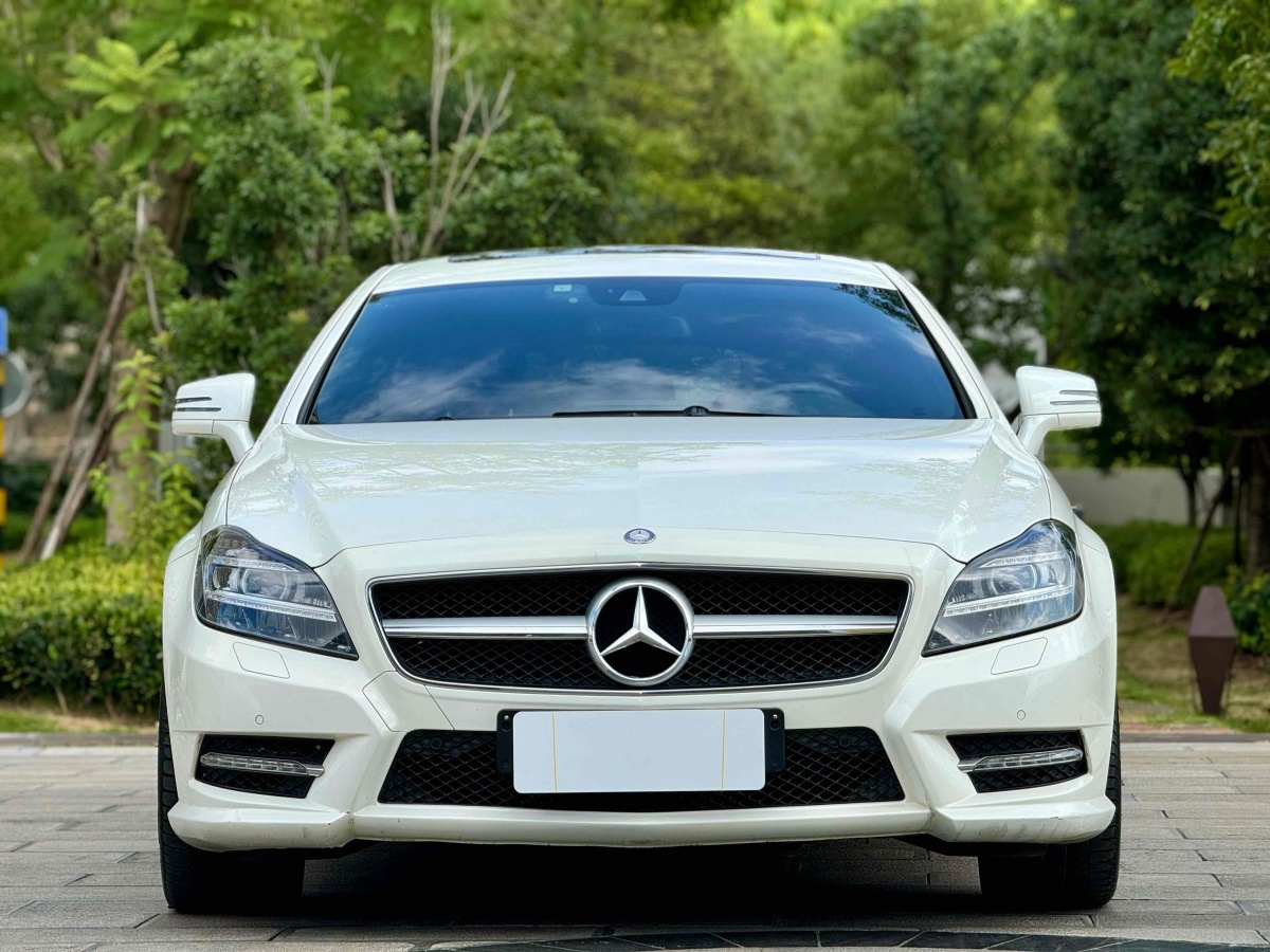 奔馳 奔馳CLS級  2013款 CLS 350 獵裝時尚型圖片