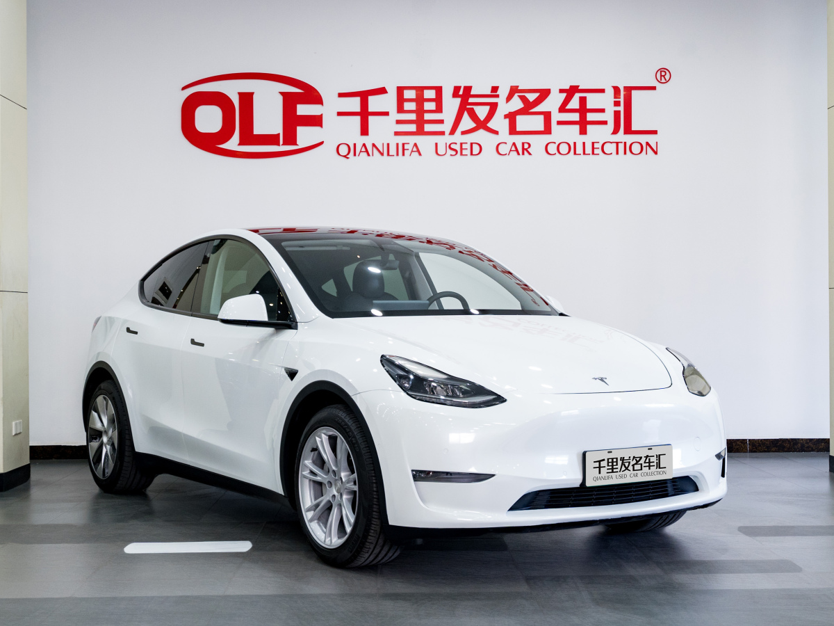 2021年3月特斯拉 Model Y  2023款 長續(xù)航煥新版 雙電機全輪驅(qū)動