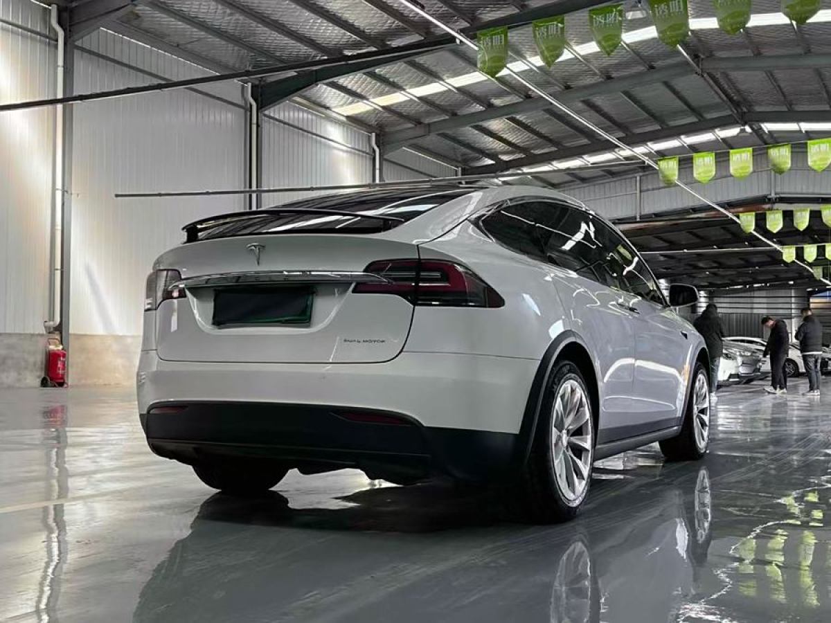 特斯拉 Model X  2019款 長(zhǎng)續(xù)航版圖片