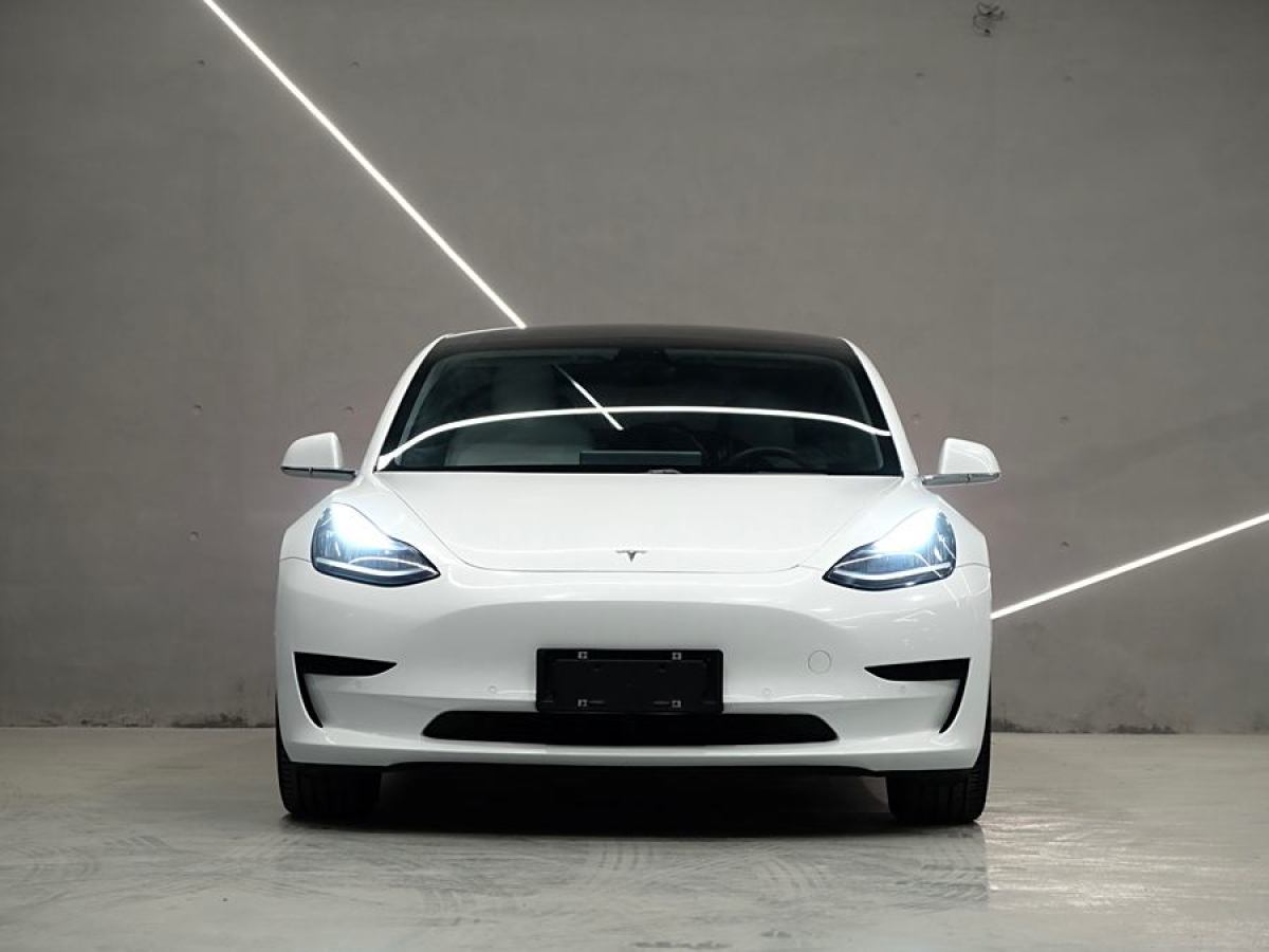 特斯拉 Model 3  2019款 標(biāo)準(zhǔn)續(xù)航后驅(qū)升級版圖片