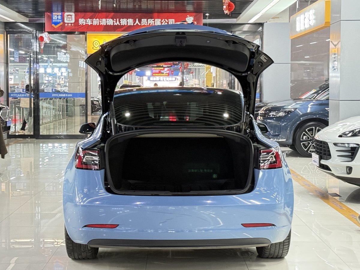 特斯拉 Model 3  2019款 標(biāo)準(zhǔn)續(xù)航后驅(qū)升級版圖片