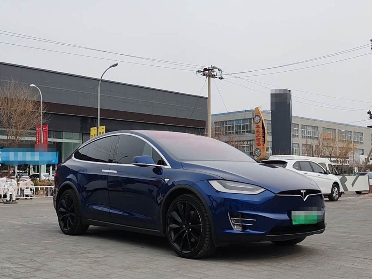 特斯拉 Model X  2017款 Model X 100D 長(zhǎng)續(xù)航版圖片