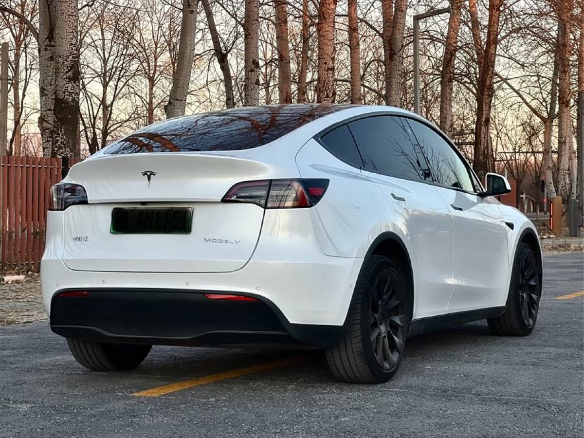 特斯拉 Model Y  2022款 改款 長(zhǎng)續(xù)航全輪驅(qū)動(dòng)版圖片