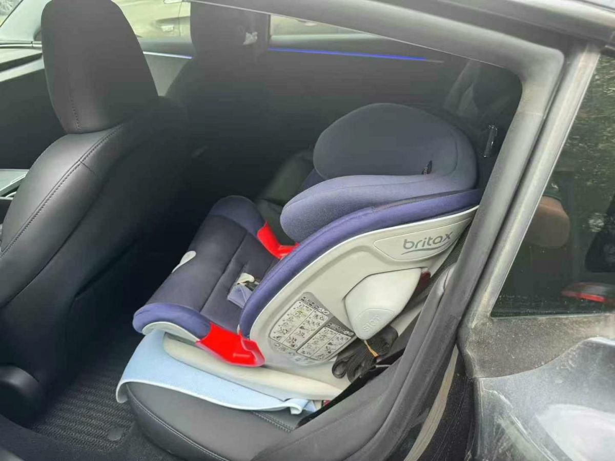 特斯拉 Model Y  2024款 Performance高性能版圖片