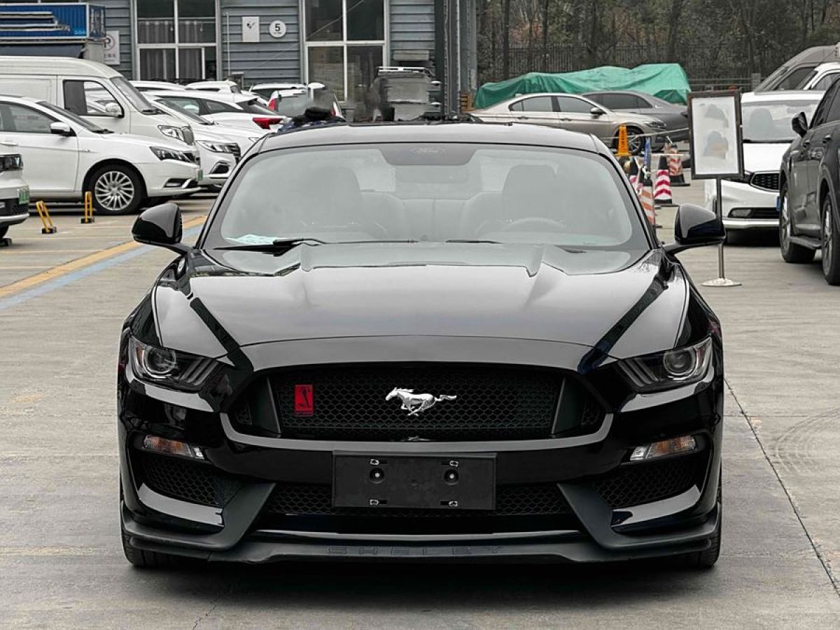 福特 Mustang  2015款 2.3T 性能版圖片