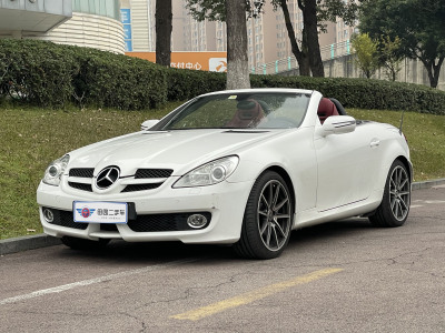 2010年2月 奔馳 奔馳SLK級(進口) SLK 300 黑白經(jīng)典版圖片