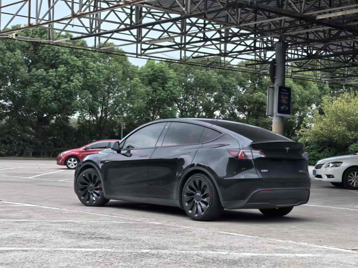 特斯拉 Model Y  2022款 Performance高性能全輪驅(qū)動(dòng)版圖片