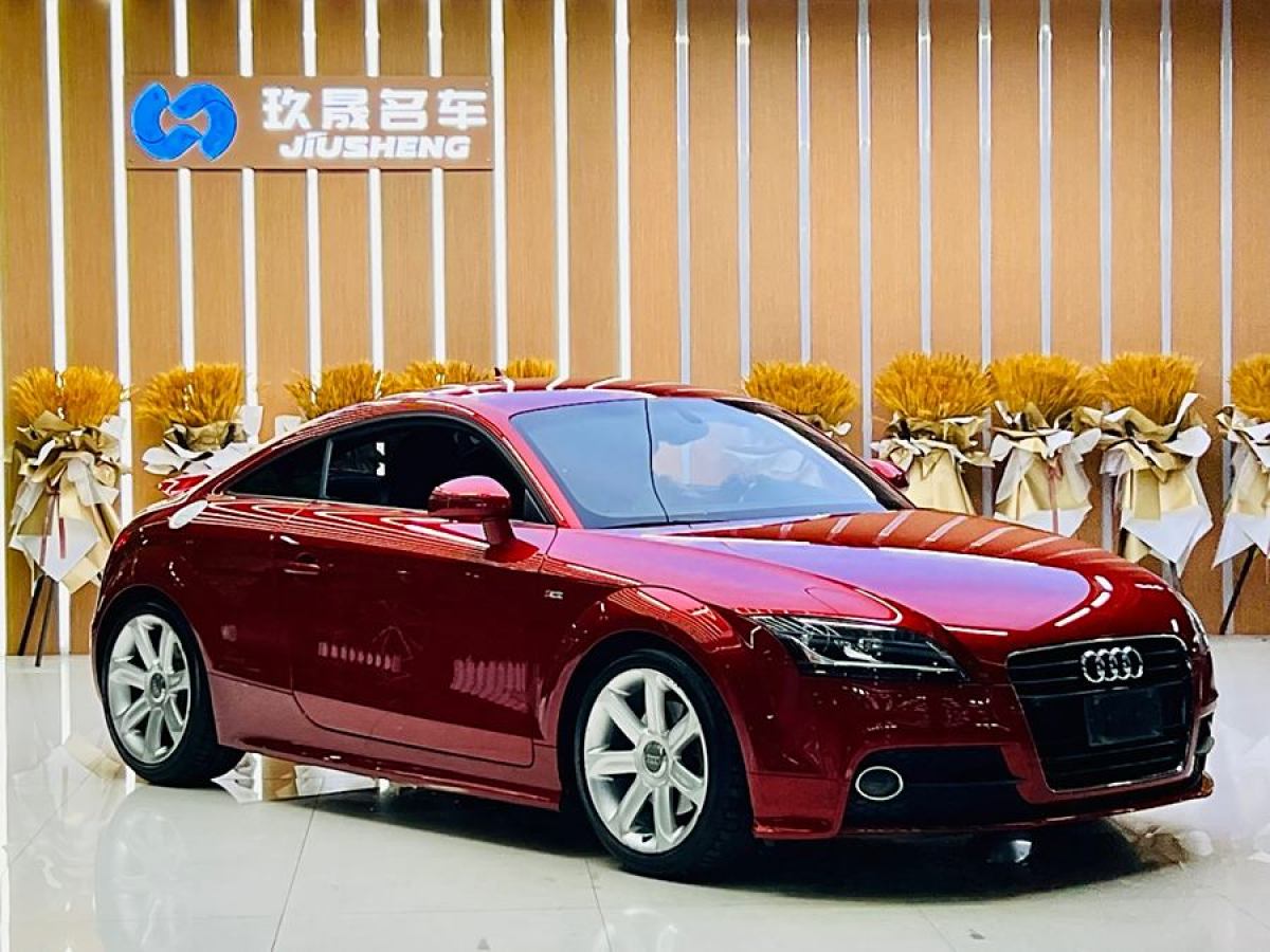 奧迪 奧迪TT  2013款 TT Coupe 45 TFSI 彩色夢(mèng)幻版圖片