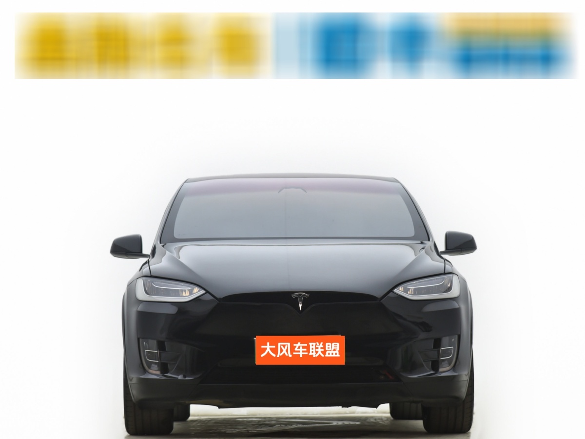 特斯拉 Model X  2017款 Model X 100D 長續(xù)航版圖片