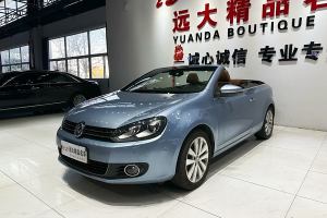 高尔夫 大众 1.4TSI 豪华敞篷版