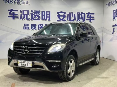 2014年1月 奔馳 奔馳M級(進(jìn)口) ML 400 4MATIC豪華型圖片