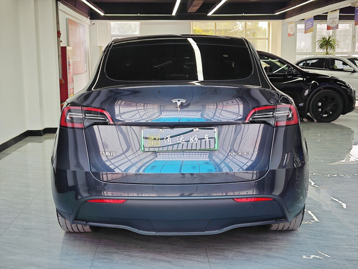 特斯拉 Model Y  2020款 改款 長續(xù)航后輪驅(qū)動(dòng)版圖片