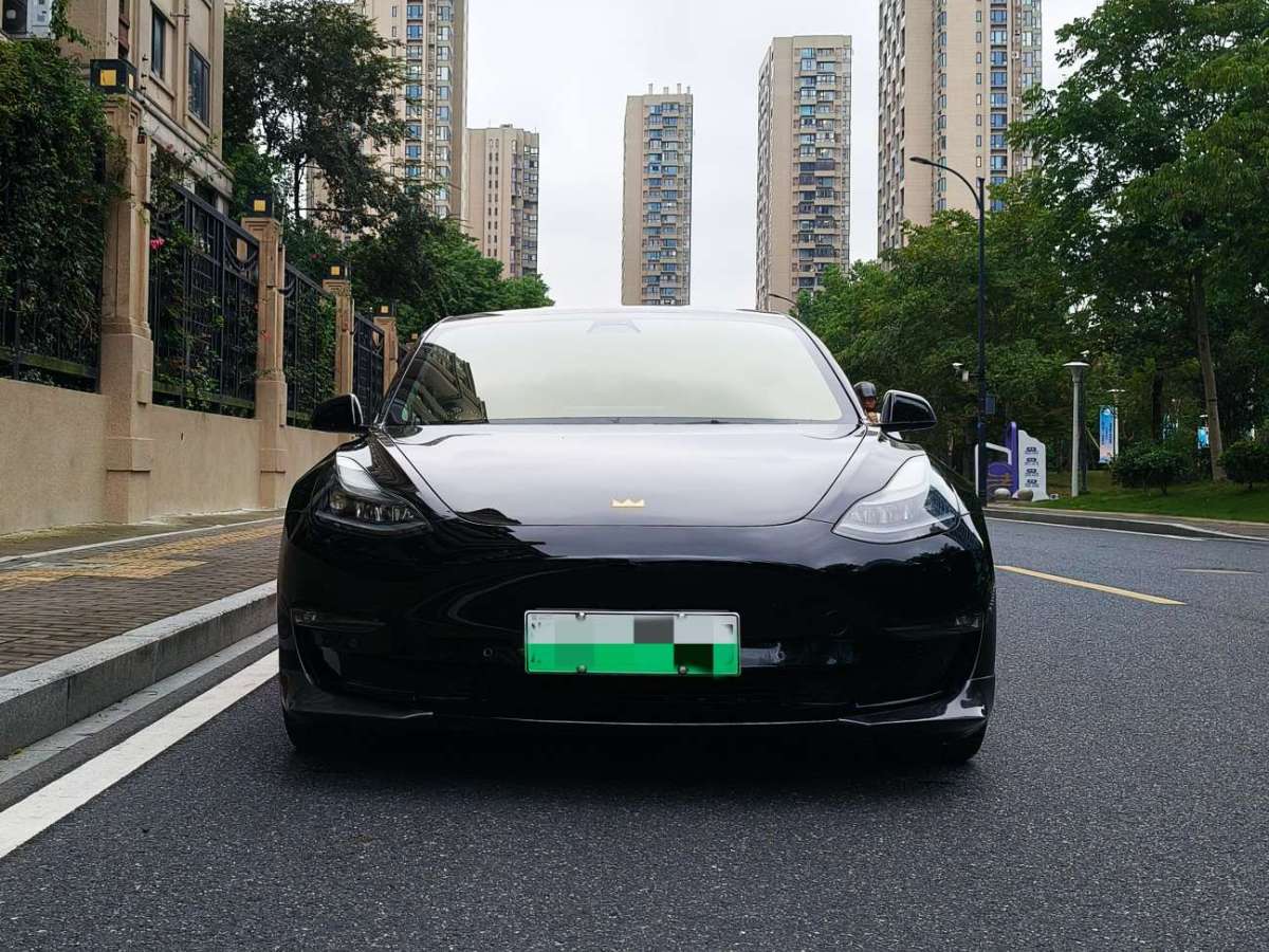 特斯拉 Model 3  2021款 Performance高性能全轮驱动版图片