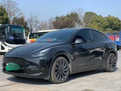 2021年08月 特斯拉 Model Y 長續(xù)航全輪驅(qū)動(dòng)版 3D7圖片