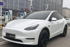 Model Y 特斯拉 改款 Performance高性能全轮驱动版