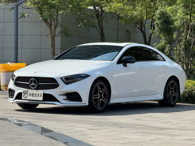 2019年7月 奔驰 奔驰CLS级(进口) 改款 CLS 300 豪华型图片