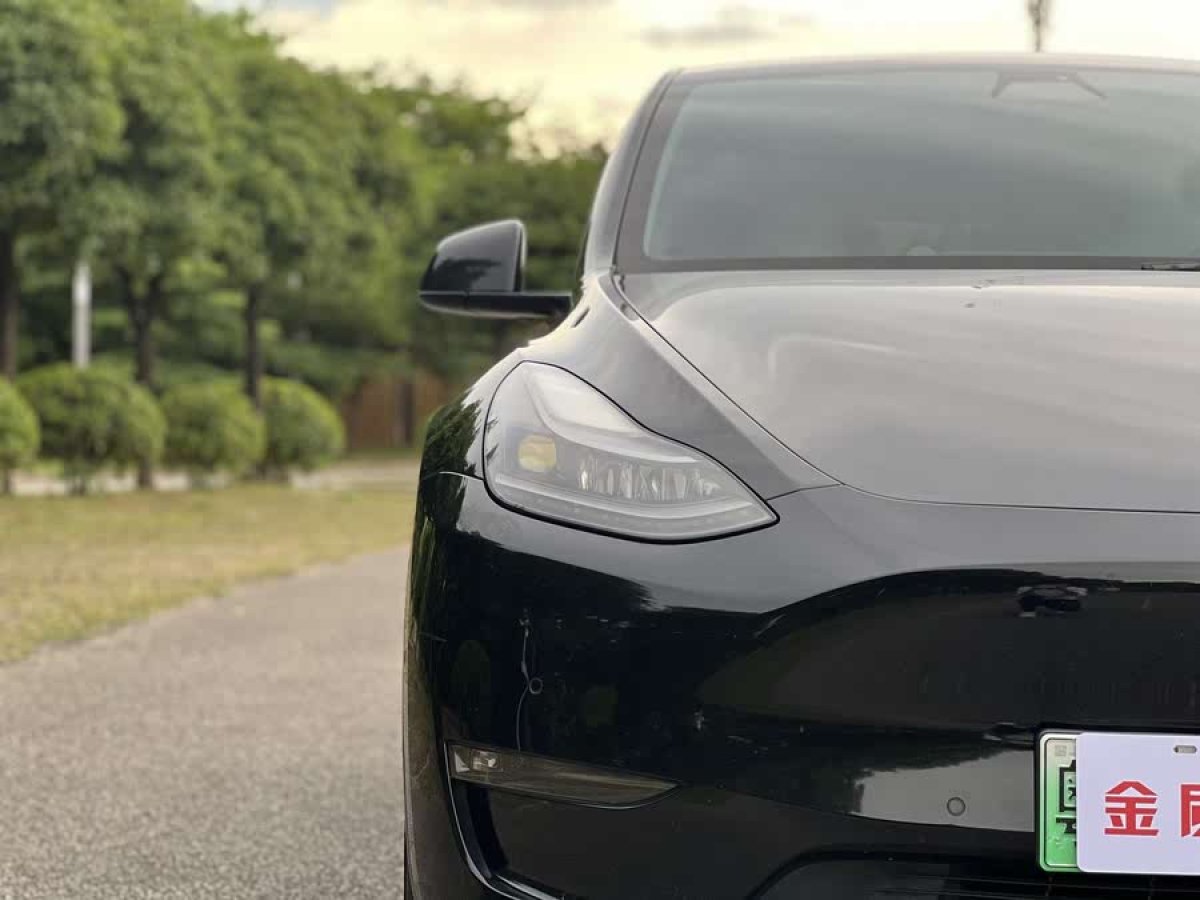 特斯拉 Model Y  2021款 標準續(xù)航后驅版圖片