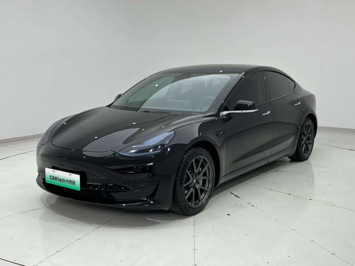 特斯拉 Model 3  2019款 標(biāo)準(zhǔn)續(xù)航后驅(qū)升級版圖片