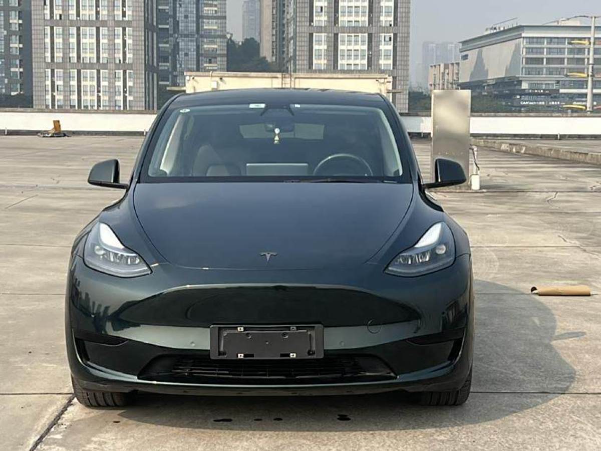 特斯拉 Model 3  2022款 后輪驅(qū)動(dòng)版圖片