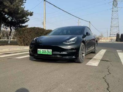 2019年1月 特斯拉 Model S Performance 高性能版圖片