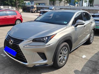 2019年3月 雷克薩斯 NX 300 前驅(qū) 鋒行版圖片