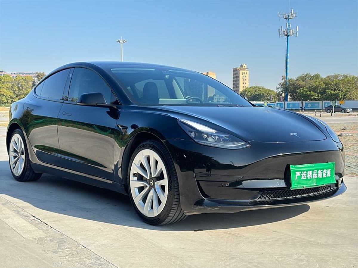 特斯拉 Model 3  2021款 改款 標(biāo)準(zhǔn)續(xù)航后驅(qū)升級(jí)版圖片