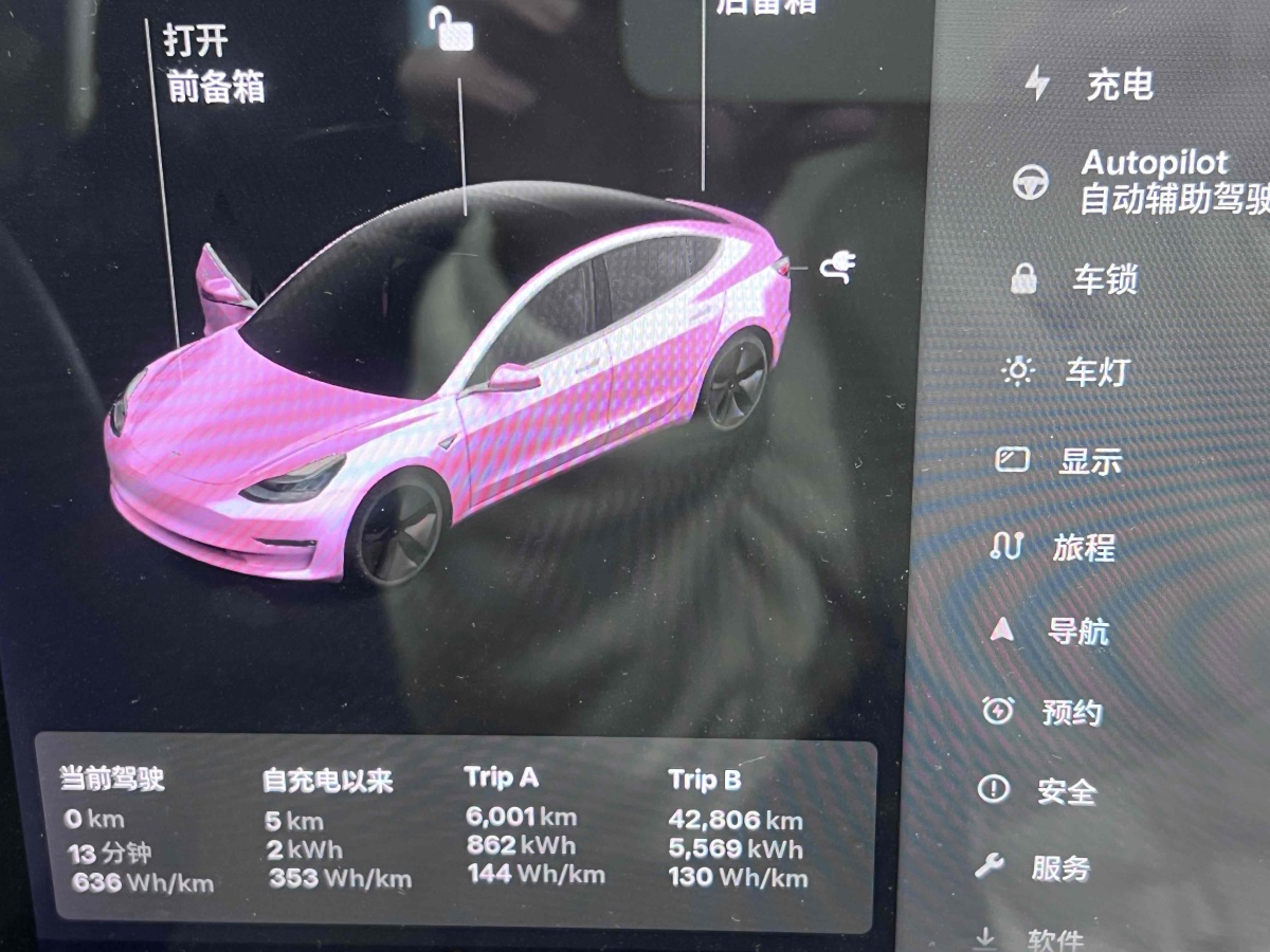 特斯拉 Model 3  2019款 標準續(xù)航后驅升級版圖片