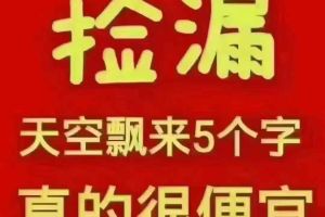 e2 比亞迪 升級(jí)版 標(biāo)準(zhǔn)續(xù)航版 標(biāo)準(zhǔn)型