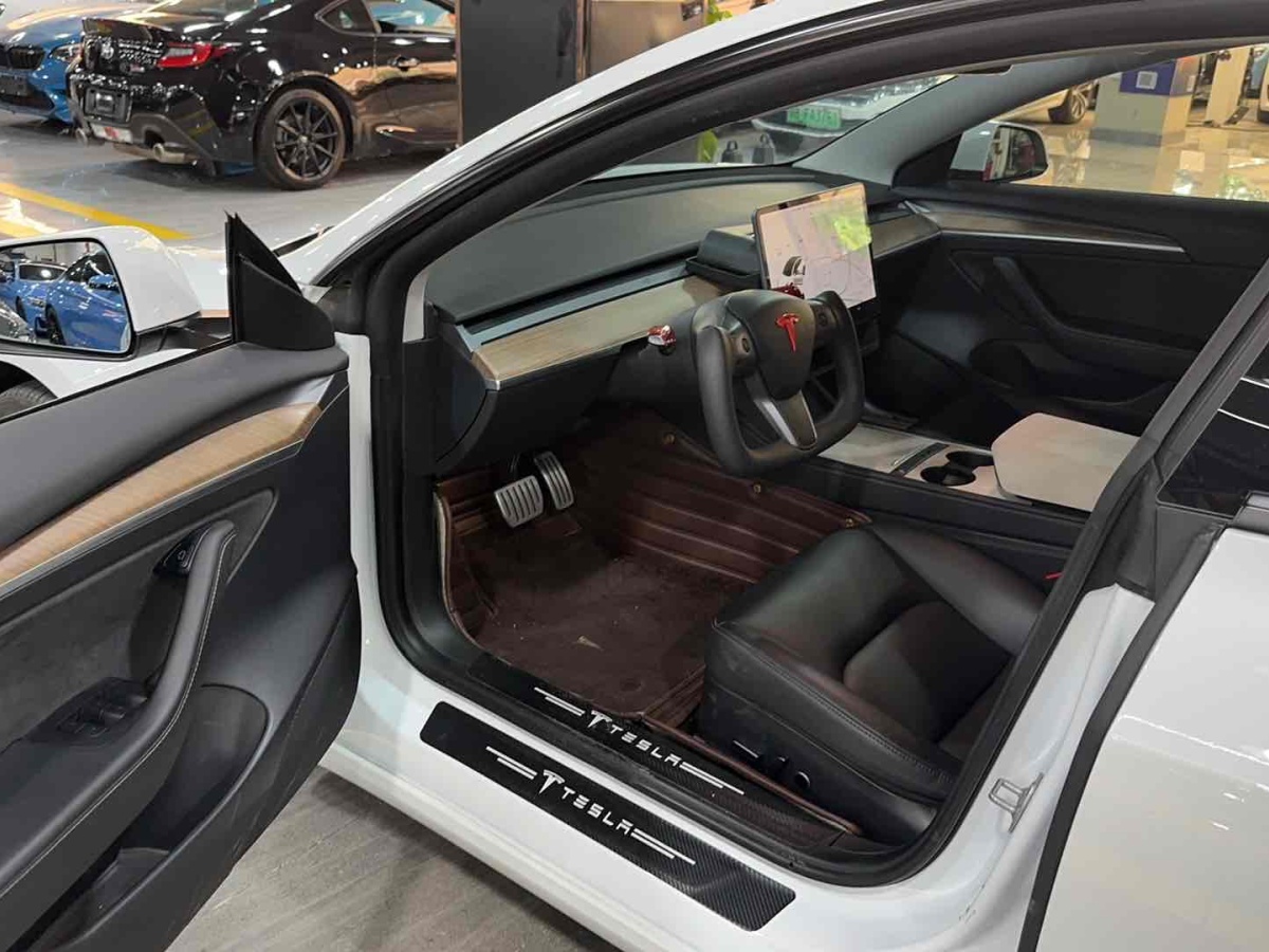 特斯拉 Model 3  2019款 Performance高性能全輪驅(qū)動版圖片