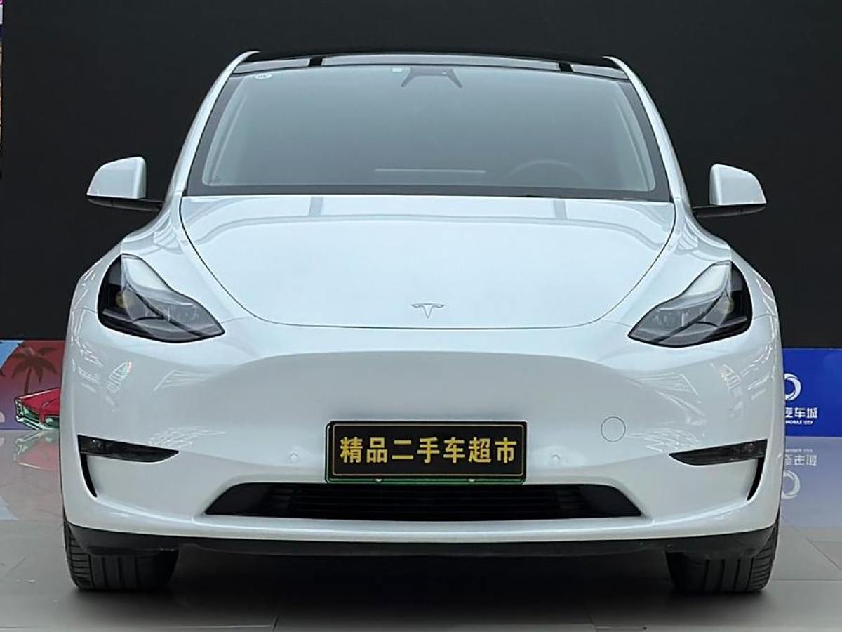 特斯拉 Model Y  2021款 長(zhǎng)續(xù)航全輪驅(qū)動(dòng)版 3D7圖片