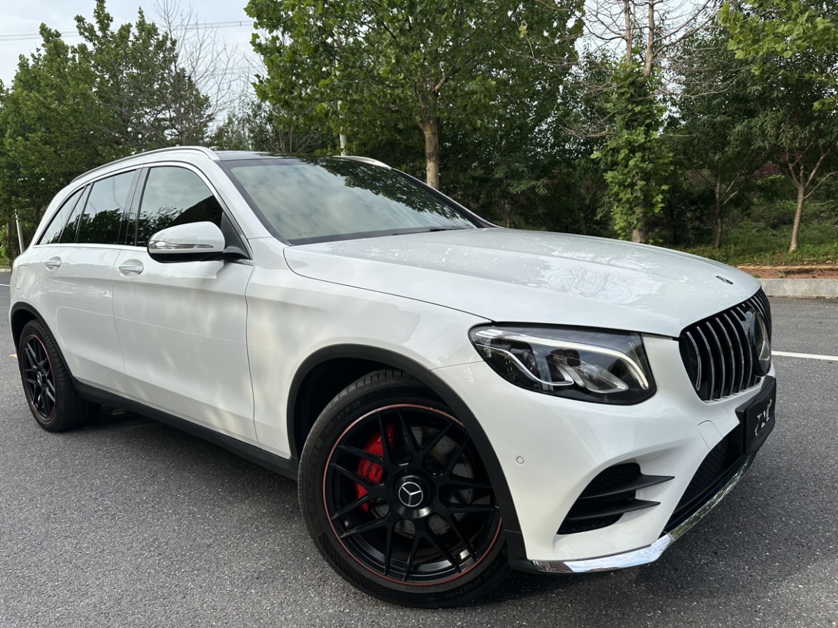 2019年1月奔馳 奔馳GLC  2019款 GLC 260 4MATIC 動感型