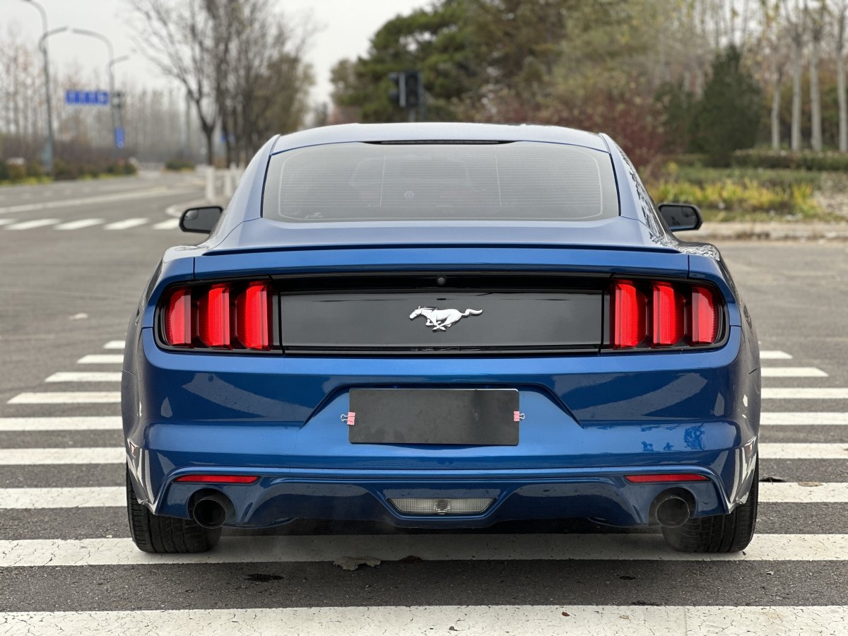 福特 Mustang  2016款 2.3T 性能版圖片