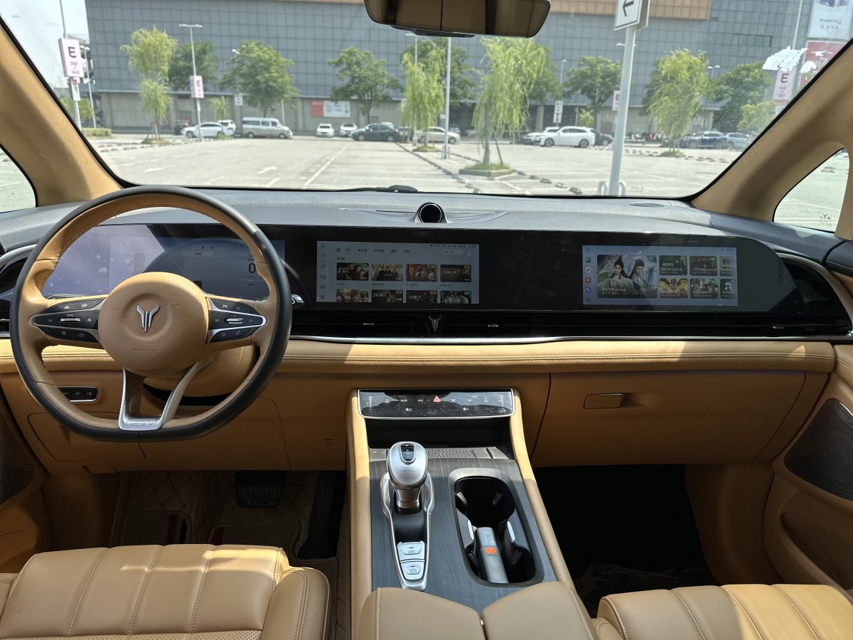 嵐圖 夢(mèng)想家  2024款 PHEV 超長(zhǎng)續(xù)航旗艦版圖片