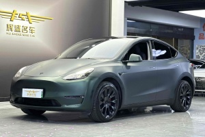 Model Y 特斯拉 改款 Performance高性能全轮驱动版