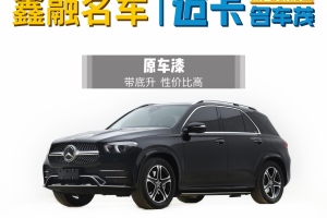 奔馳GLE新能源 奔馳 GLE 350 e 4MATIC