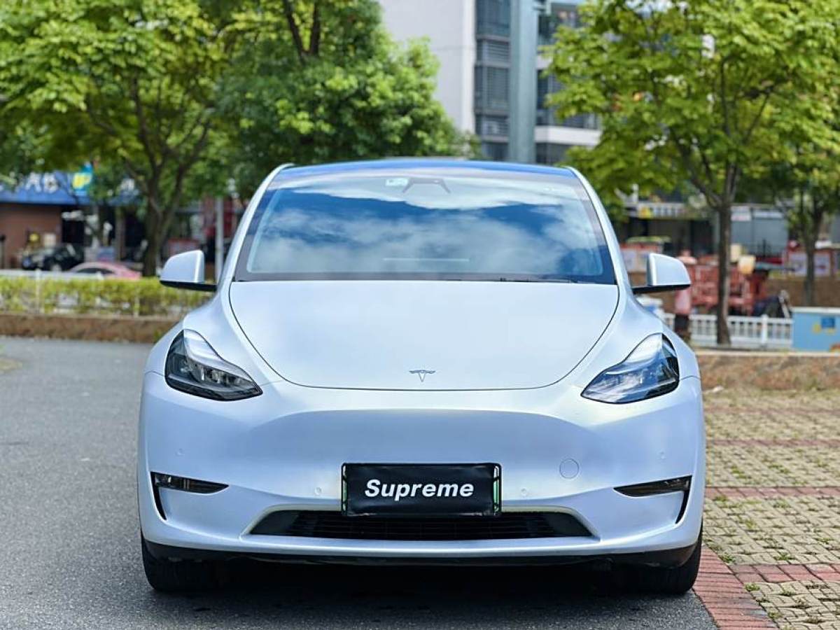 特斯拉 Model Y  2021款 改款 标准续航后驱升级版图片