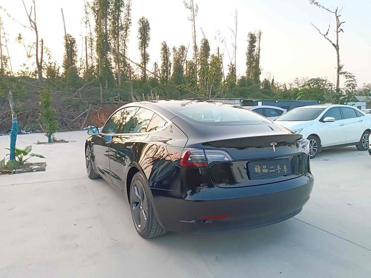 特斯拉 Model 3  2020款 改款 標(biāo)準(zhǔn)續(xù)航后驅(qū)升級版圖片