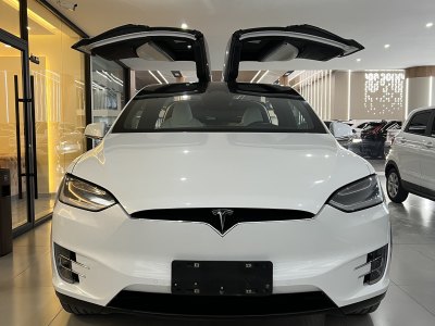 2017年5月 特斯拉 Model X Model X 90D圖片