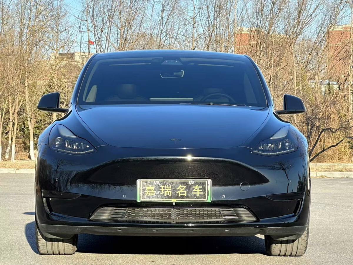 特斯拉 Model Y  2022款 后驅(qū)版圖片