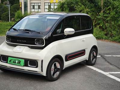 2022年7月 宝骏 宝骏KiWi EV 艺术家轻享版 三元锂图片