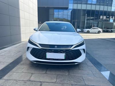 2024年8月 比亞迪 秦L DM-i 80KM領(lǐng)先型圖片