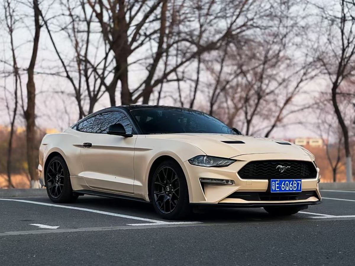 福特 Mustang  2020款 2.3L EcoBoost圖片