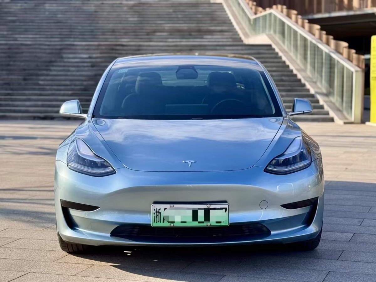 特斯拉 Model 3  2020款 改款 標(biāo)準(zhǔn)續(xù)航后驅(qū)升級(jí)版圖片