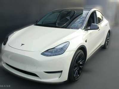 2021年8月 特斯拉 Model 3 改款 標準續(xù)航后驅(qū)升級版圖片