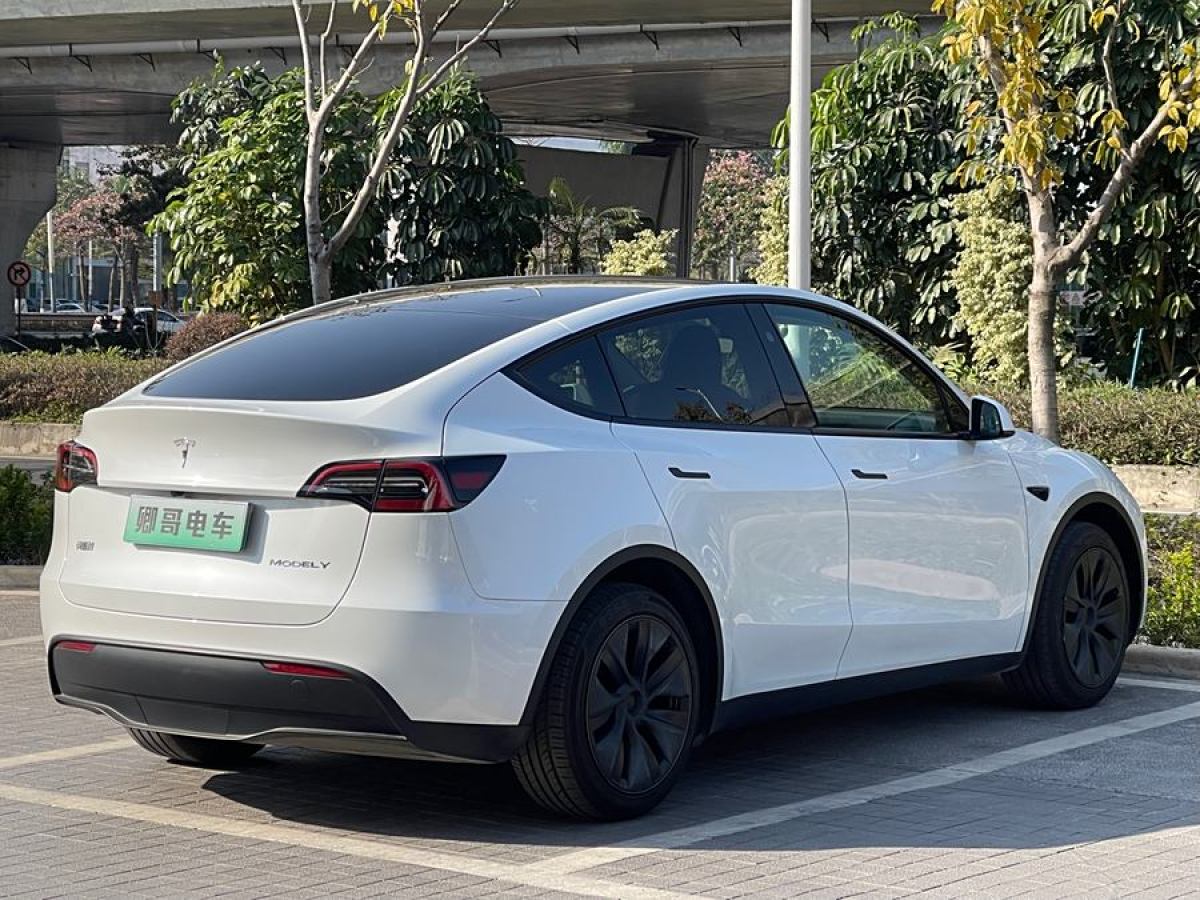 特斯拉 Model 3  2020款 改款 長續(xù)航后輪驅(qū)動(dòng)版圖片