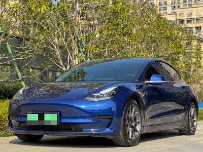 2020年6月 特斯拉 Model 3 标准续航后驱升级版图片