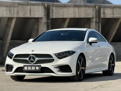 2020年5月 奔馳 奔馳CLS級(jí)(進(jìn)口) CLS 300 豪華型圖片